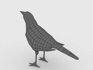 Elster 3D Modell