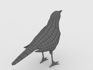 magpie 3Dモデル