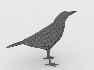 magpie 3Dモデル