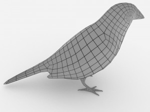 red browed finch Modèle 3D