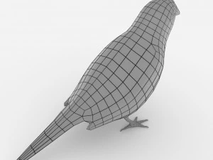 red browed finch 3D Model