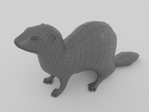 ferret 3D 모델