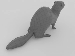 ferret 3D Model