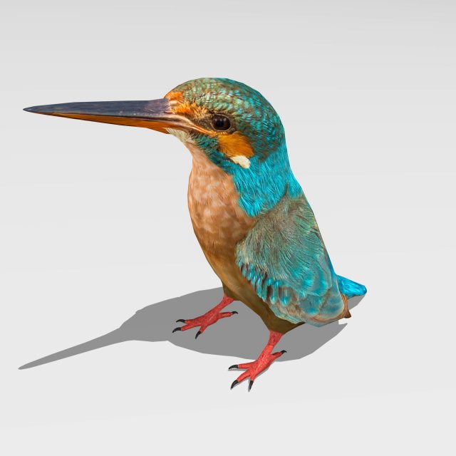 common kingfisher 3Dモデル .c4d .max .obj .3ds .fbx .stl .blend