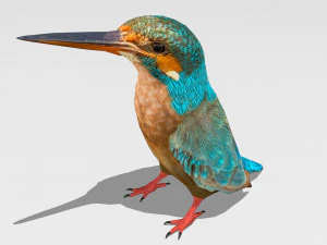 yalı&ccedil;apkını 3D Model