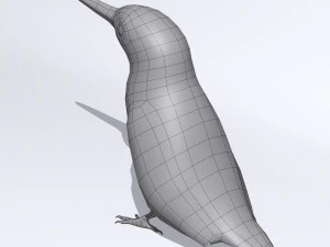 burung pekakak biasa Model 3D