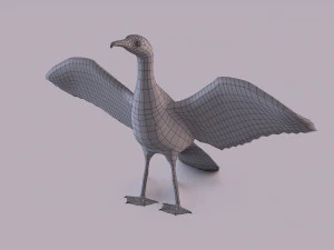 Great cormorant 3D Model