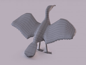 Great cormorant 3D Модель
