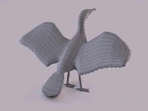 Great cormorant 3D Model