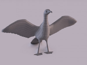 Great cormorant 3D Модель