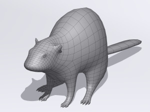 beaver Modelo 3D