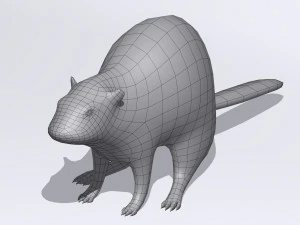 beaver 3D Model