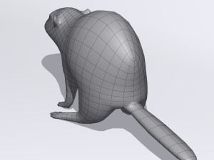 beaver Modelo 3D