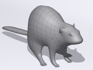 beaver Modelo 3D