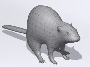 beaver 3D Model