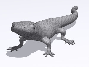 eastern newt Model 3D