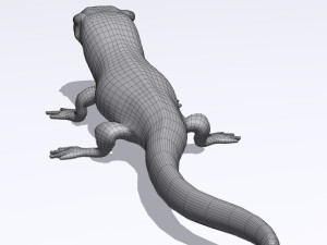 eastern newt Model 3D