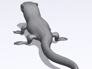 eastern newt 3D Model