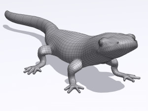 eastern newt Model 3D