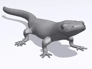 eastern newt 3D Model