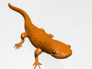 eastern newt Model 3D