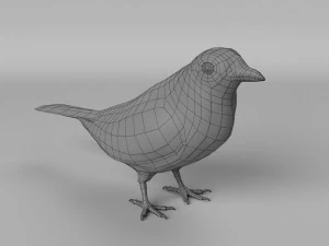 inca jay cyanocorax yncas 3d 3D Model