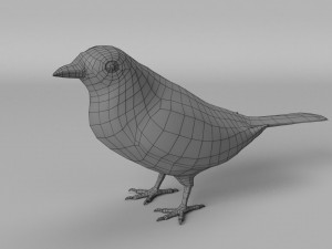 inca jay cyanocorax yncas 3d Model 3D