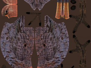 pittima reale dalla coda nera Modello 3D