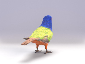 painted bunting 3d 3D Modell