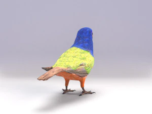 painted bunting 3d 3D Model