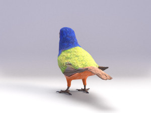 painted bunting 3d 3D Modell