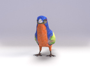 painted bunting 3d 3D Modell