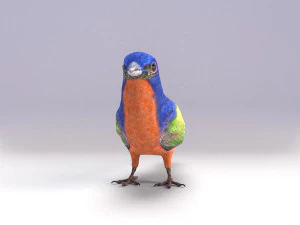 painted bunting 3d 3D Model