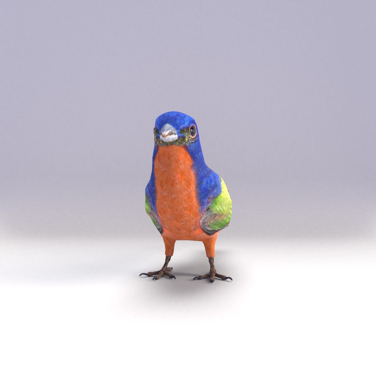 Painted Bunting Птица