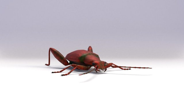 leaf beetle 3D Model .c4d .max .obj .3ds .fbx .stl .blend 