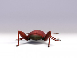 leaf beetle 3D Model