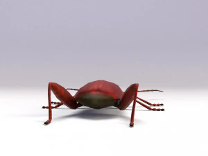 leaf beetle 3D Model