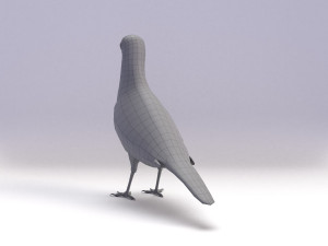 spotted dove model Model 3D