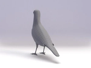 spotted dove model 3D Model