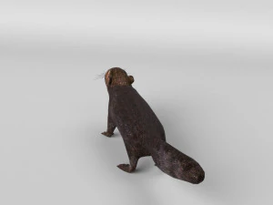 squirrel model 3D Model