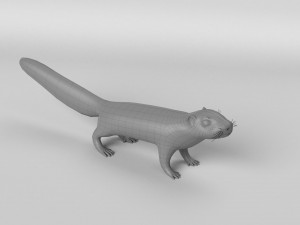 squirrel model 3D 모델