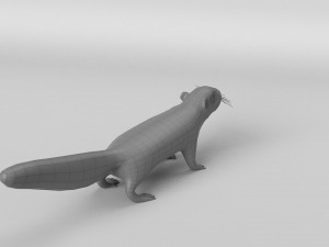 squirrel model 3D 모델