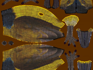 olive-backed sunbird 3D Model