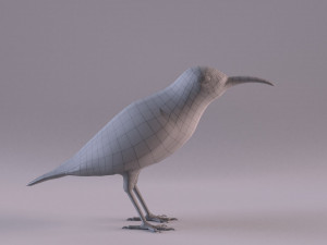 olive-backed sunbird 3D Model