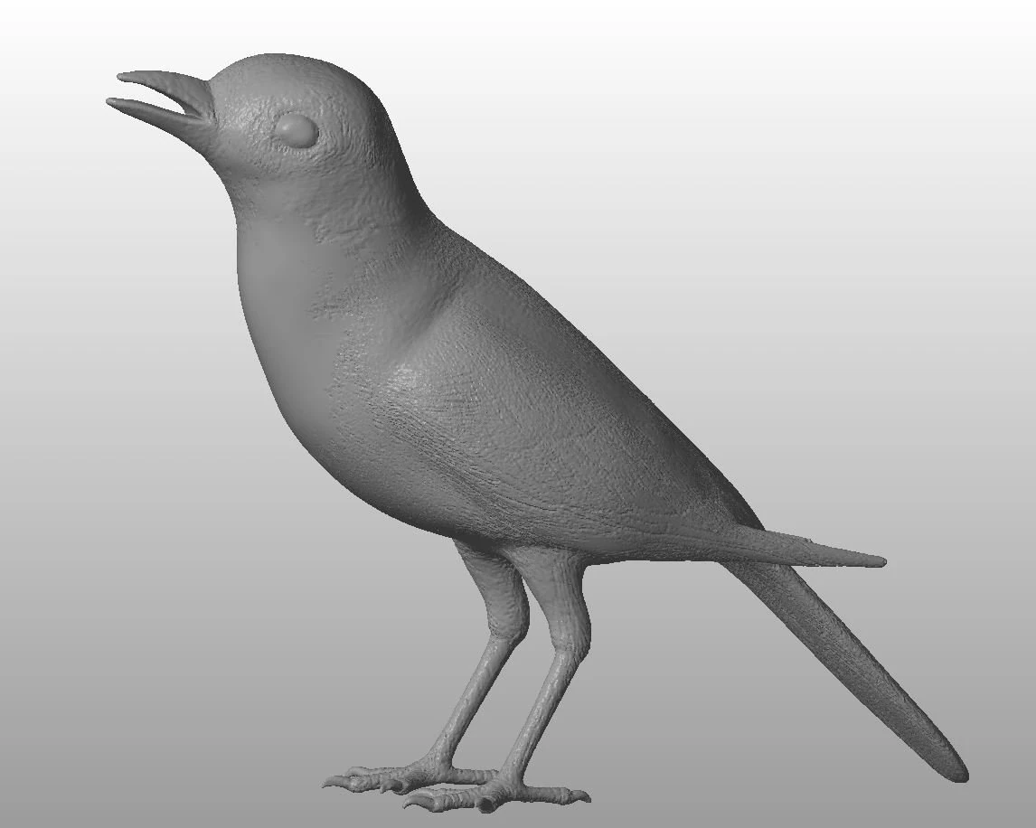 wagtail printable 3D Model .c4d .max .obj .3ds .fbx .stl .blend 