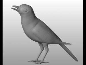 wagtail printable 3D Model