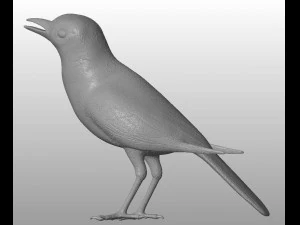 wagtail printable 3D Model