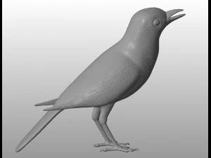 wagtail printable 3D Model