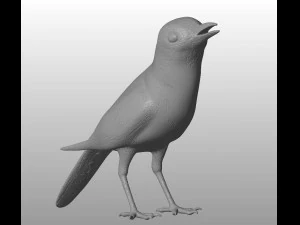 wagtail printable 3D Model