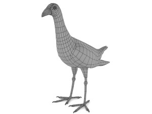 purple swamphen 3D Модель